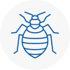 Bed Bug Extermination In Backworth